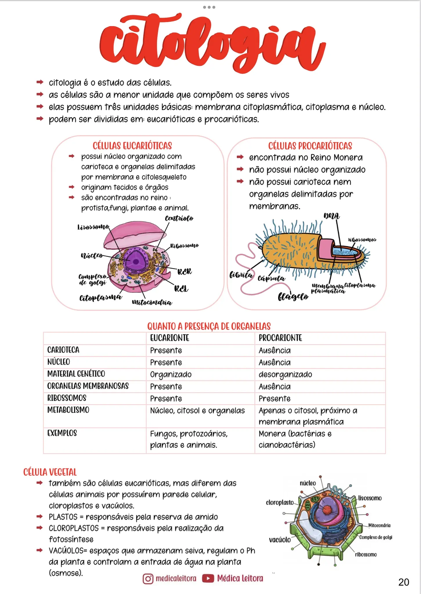 Um resumo com lettering e desenhos