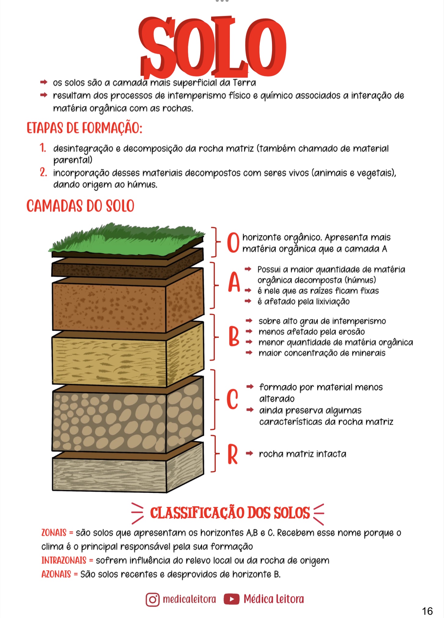 Um resumo com lettering e desenhos