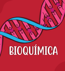 Capa do resumo de bioquímica. Possui o desenho de um DNA e abaixo o título escrito: BIOQUÍMICA
