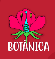 Capa do resumo de botânica. Possui o desenho de uma flor rosa: BOTÂNICA