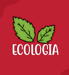 Capa do resumo de ecologia. Possui o desenho de folhas e abaixo o título escrito: ECOLOGIA